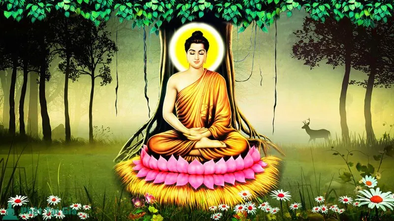 Tác Dụng Của Phật Bản Mệnh Với Người Tuổi Hợi